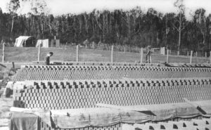 Black and white photograph of rows of freshly made bricks drying in the sun, showcasing the traditional brickmaking process at Stafford’s in its early days.